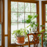 Wood-framed replacement windows with views of a green yard
